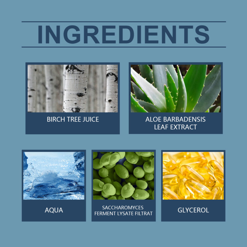 Birch Juice Moisturizing Cream - Gentle Hydrating Moisturizer - Image 5