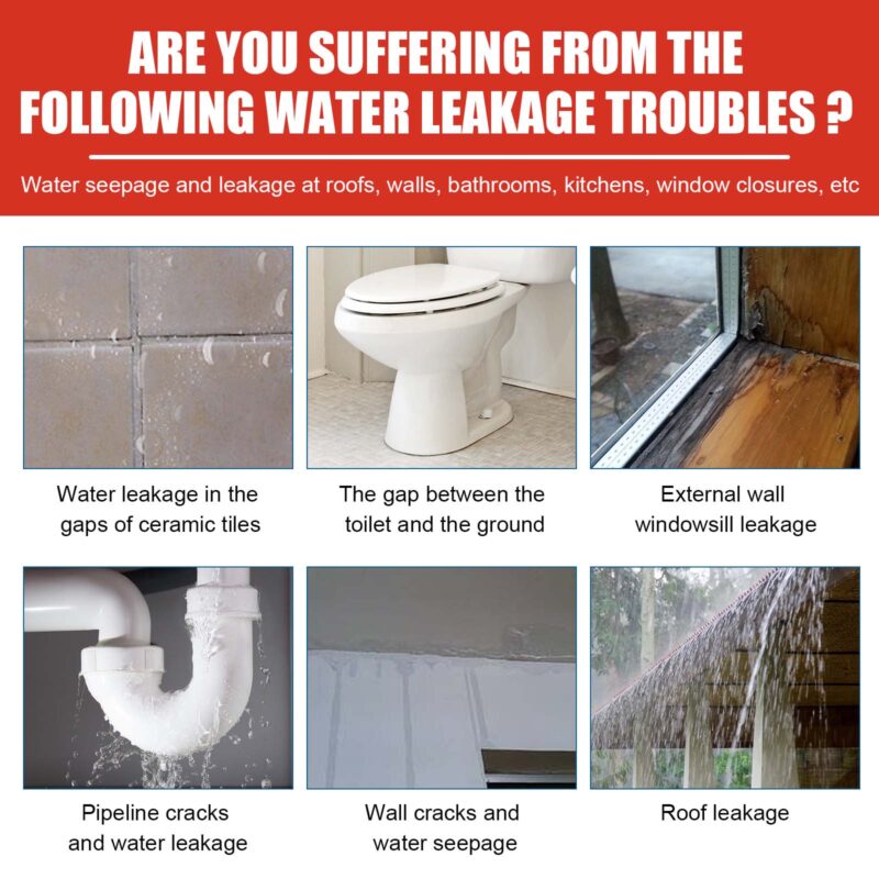 Kitchen and Wall Leak Repair