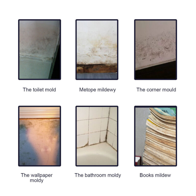 Mold Remover Spray for Bathroom, Ceiling, Tile & Wall Surfaces - Image 4