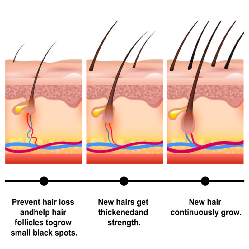 Batana Oil for Scalp Nourishment & Hair Repair - Image 3
