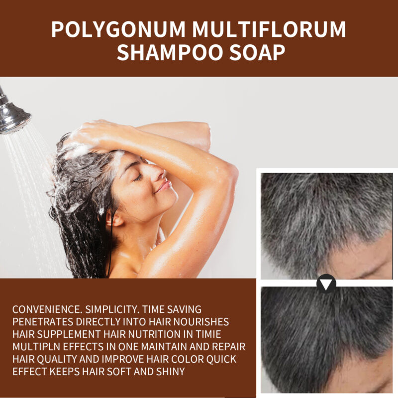 Polygonum Multiflorum Natural Repair Shampoo: Moisturizing & Smoothing for Natural Black Hair - Image 3