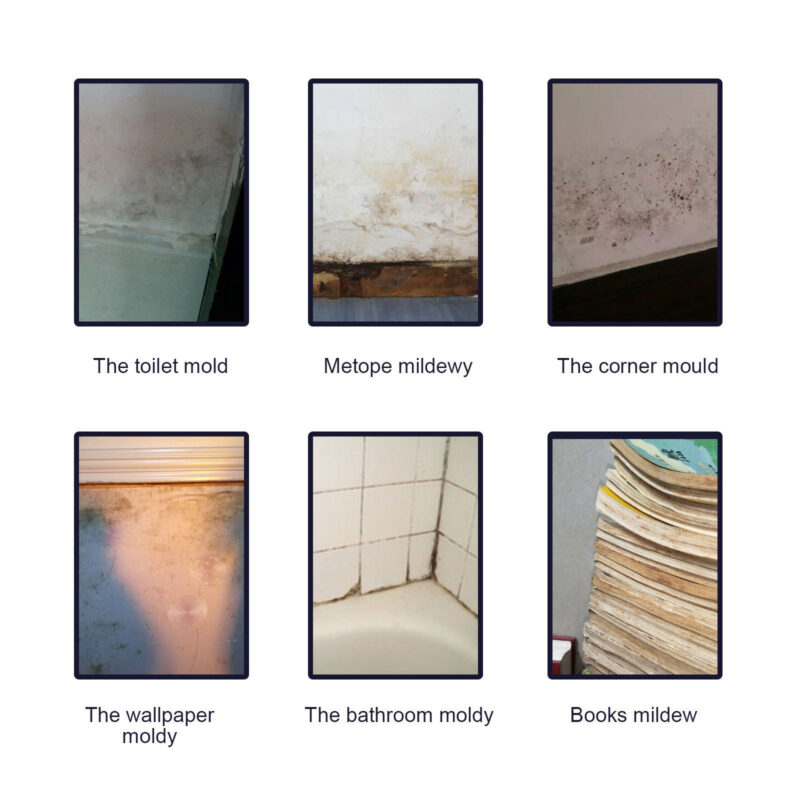Mildew Removal Gel for Bathroom & Kitchen Surfaces, White Wall Stains - Image 4