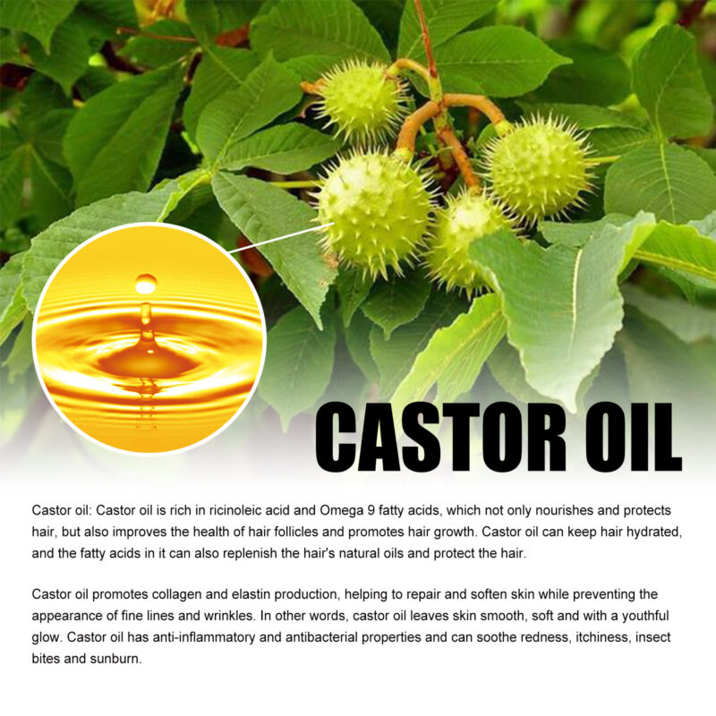 Castor Oil for Hair Care - Moisturize, Protect, Support Density - Image 5